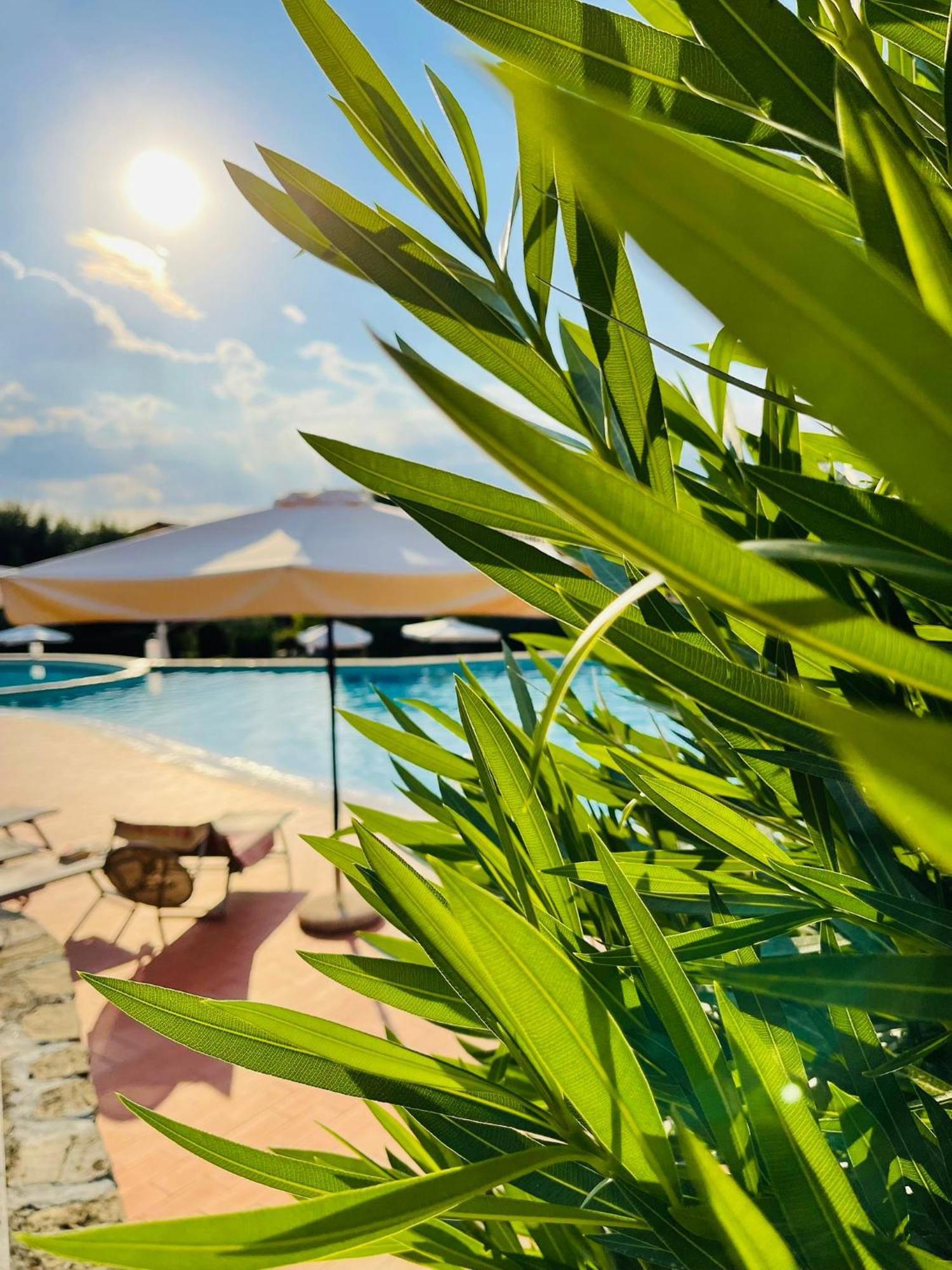 Borgo Del Torchio - Gardagate Apartment Manerba del Garda Bagian luar foto
